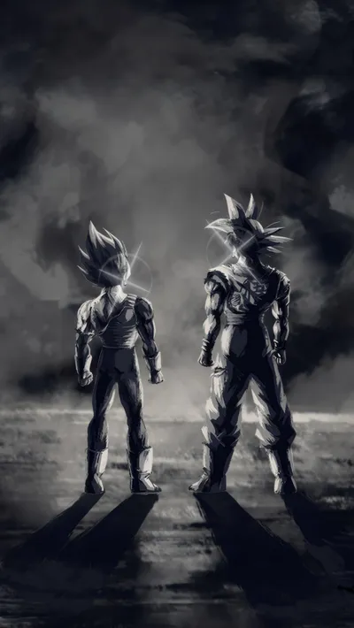 Goku Vegeta Wallpapersafari Abstract Wallpaper 4K 2304x4095 Gray
