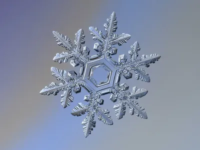 Snowflake Flickr Alexey Kljatov Nature Wallpaper 4K 1600x1200 Gray