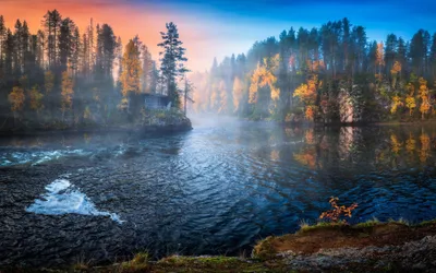 3840x2400 Nature Water Trees Fall Nature Wallpaper 4K 3840x2400 Brown, Yellow, Gray