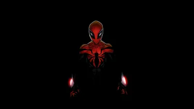 Calm Spider Wallpaper Wallpaper 4K, Black/Dark category