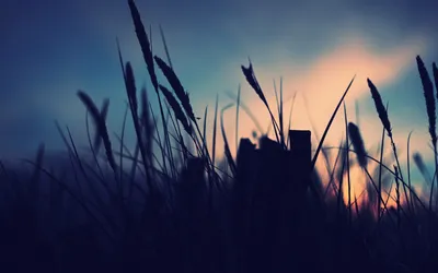 Anime Wallpaper 1918x1198 Abstract Wallpaper 4K 1918x1198 Ultrawide