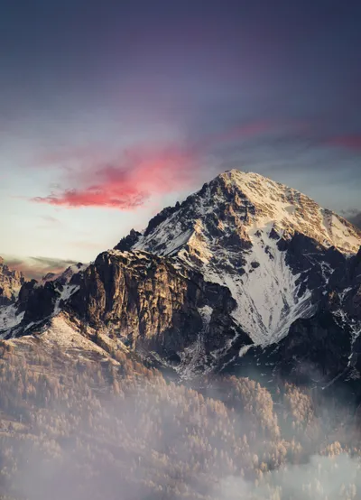 Majestic Snow Covered Nature Wallpaper 4K 2559x3543 Gray