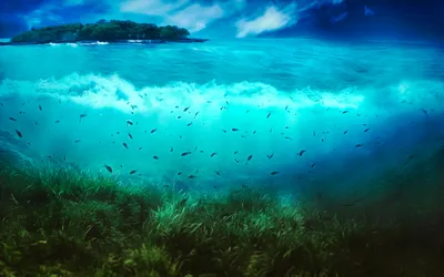 Ocean Wallpapersafari Nature Nature Wallpaper 4K 1920x1200 Yellow, Pink