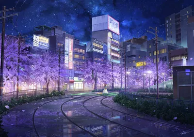 Spring Night Anime Black/Dark Wallpaper 4K 1920x1357 Brown