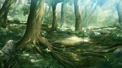 Anime Forest Wallpapersafari Nature Wallpaper 4K 2560x1440 White, Gray