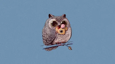 Mouse Owl Artistic Wallpaper 4K, Minimal category