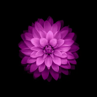 Anime Wallpaper 2522x2522 Abstract Wallpaper 4K 2522x2522 Full HD, Square