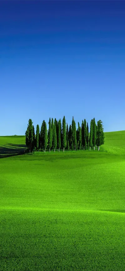Serene Green Wallpaper Nature Wallpaper 4K 1290x2796 Green, Pink
