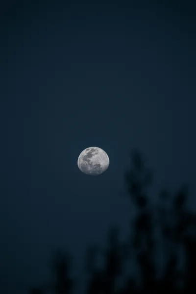 Vivid Moon Wallpaper Space Wallpaper 4K 3000x4500 Gray