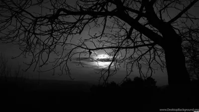 Black Moon Cave Space Wallpaper 4K 1600x900 White, Gray