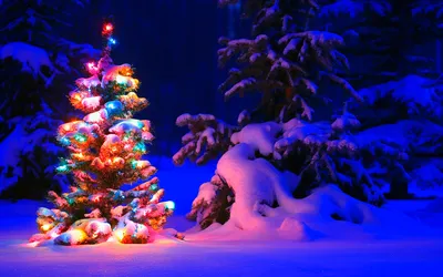 Christmas Images Abstract Abstract Wallpaper 4K 1920x1200 Red