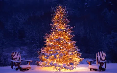 Serene Christmas Wallpaper Nature Wallpaper 4K 3840x2400 Orange, Brown