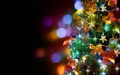 Christmas Tree Cave Nature Wallpaper 4K 2880x1800 Pink, Gray