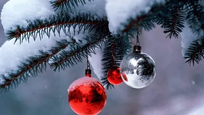 Dreamy Christmas Wallpaper Nature Wallpaper 4K 1920x1080 Brown, Gray