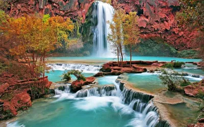 Vibrant Nature Wallpaper Nature Wallpaper 4K 900x563 Brown, White