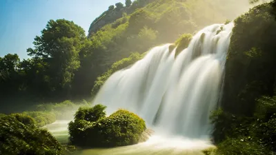 Tree Nature Greenery Nature Wallpaper 4K 1920x1080 Gray