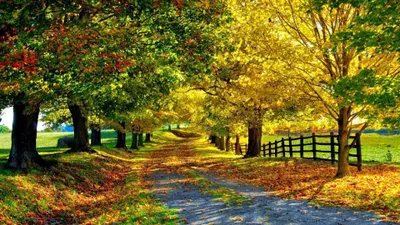 Moody Summer Wallpaper Nature Wallpaper 4K 3840x2160 Orange