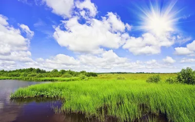 Sunny Day Wallpaperbat Abstract Wallpaper 4K 2560x1600 White
