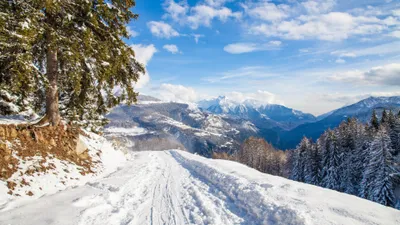 Winter Landscape Wallpapersafari Nature Wallpaper 4K 3840x2160 White