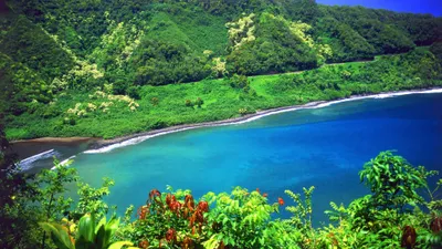 Nature Wallpapersafari Nature Nature Wallpaper 4K 3840x2160 Yellow, Pink