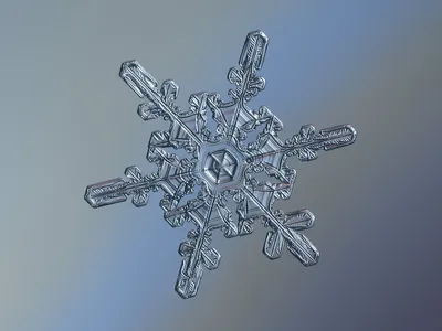 Snowflake Flickr Alexey Nature Wallpaper 4K 1600x1200 Gray