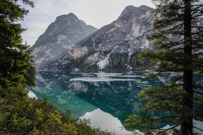 Nature Photos Best Nature Wallpaper 4K 5493x3666 White