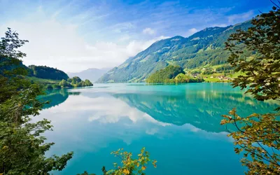 Nature Full Nature Nature Wallpaper 4K 2560x1600 White