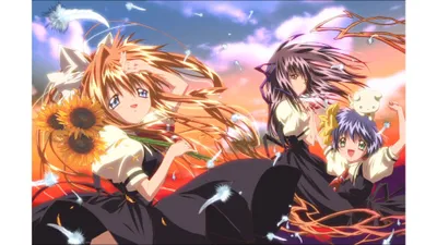 Anime Images Checkout Abstract Wallpaper 4K 3840x2160 White