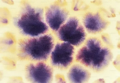 Purple Yellow Abstract Abstract Wallpaper 4K 3000x2086 White