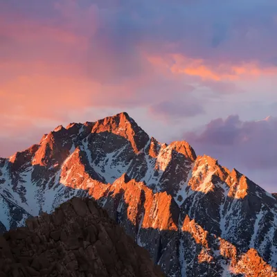 Golden Macos Wallpaper Nature Wallpaper 4K 1280x1280 Gray