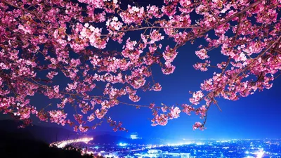Anime Wallpaper 1918x1078 Abstract Wallpaper 4K 1918x1078 Ultrawide