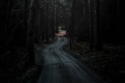 Dreamy Dark Wallpaper Black/Dark Wallpaper 4K 1920x1280 Brown