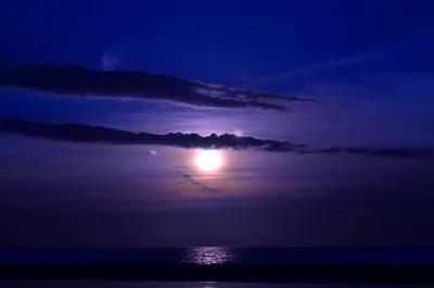 Nature Sunset Nature Nature Wallpaper 4K 4928x3264 White, Brown