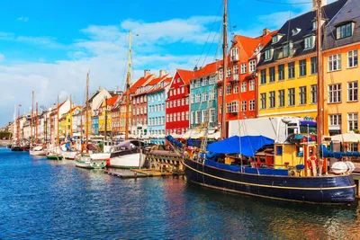 Moody Nyhavn Wallpaper Animals Wallpaper 4K 1600x1067 Yellow, Pink
