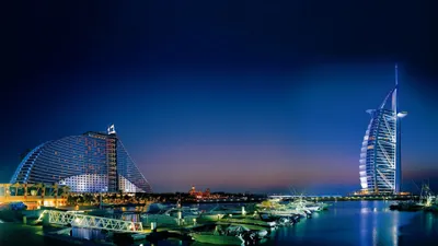 Calm Dubai Wallpaper Animals Wallpaper 4K 3840x2160 Brown