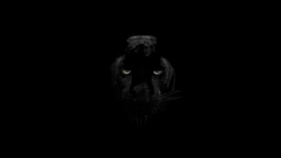 Bright Panther Wallpaper Animals Wallpaper 4K 3840x2160