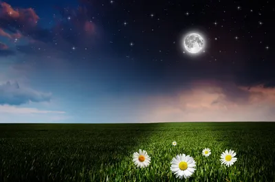 Serene Nature Wallpaper Space Wallpaper 4K 1920x1272 Brown, Gray