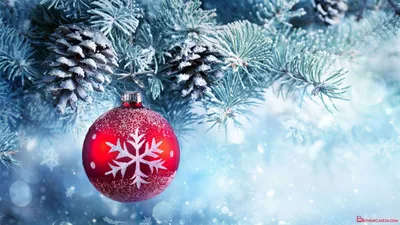 Crisp Merry Wallpaper Abstract Wallpaper 4K 1920x1080 White