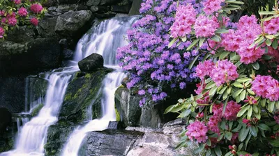 Moody Waterfall Wallpaper Nature Wallpaper 4K 1920x1080 White