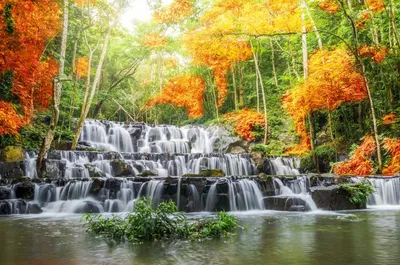 Waterfall Serenity Vibrant Autumn Forest Nature Wallpaper 4K 1920x1272 White, Gray