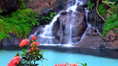 Waterfall Natural Nature Nature Wallpaper 4K 1920x1080 Pink, Yellow, White