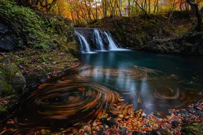 Vivid Nature Wallpaper Nature Wallpaper 4K 1920x1280 Brown