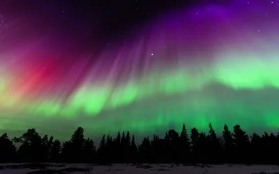 Epic Aurora Wallpaper Space Wallpaper 4K 1920x1200 Brown, Gray