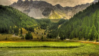 Mountain Forest Definition Nature Wallpaper 4K 1920x1080 Gray, Orange