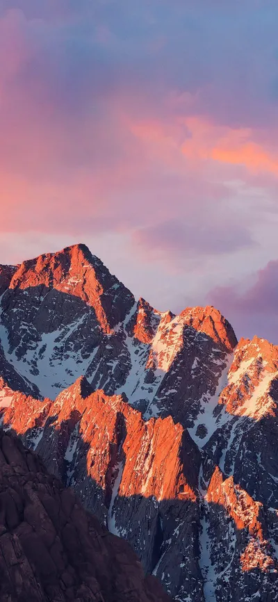 Bright Aesthetic Wallpaper Nature Wallpaper 4K 1242x2688 Gray