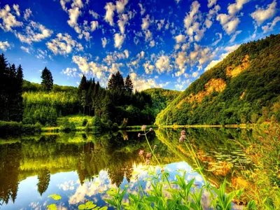 Summer Nature Nature Nature Wallpaper 4K 1920x1440 Red