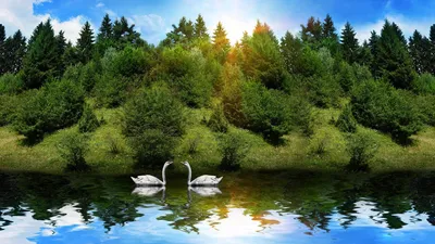Vivid Nature Wallpaper Nature Wallpaper 4K 1920x1080 White