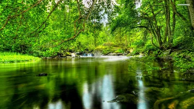 Crisp Nature Wallpaper Nature Wallpaper 4K 1920x1080 Gray, Brown, White