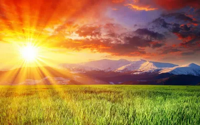 Nature 1080p Wallpapersafari Nature Wallpaper 4K 1600x1000 Orange, Brown, White