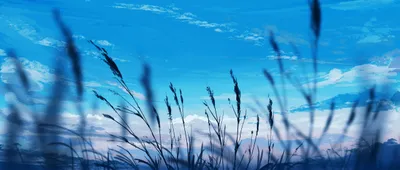 Anime Meadow Blue Sky Nature Wallpaper 4K 2560x1089 Pink, Yellow